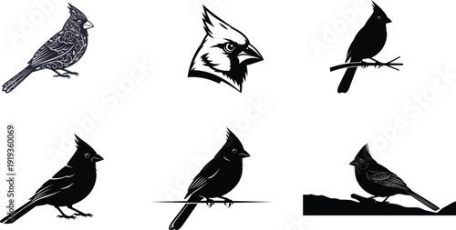 Six black and white illustrations of cardinals in various poses and silhouette
