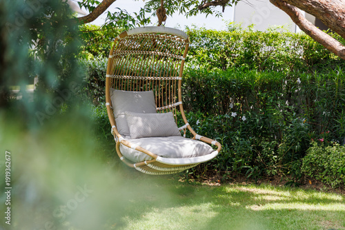 Photos Modern rattan hanging swing chair with grey pillows hanging from a large tree in a lush green garden