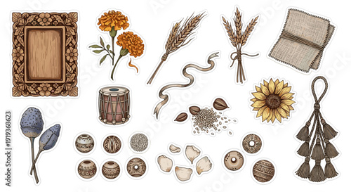 Collection of natural objects and decorative items