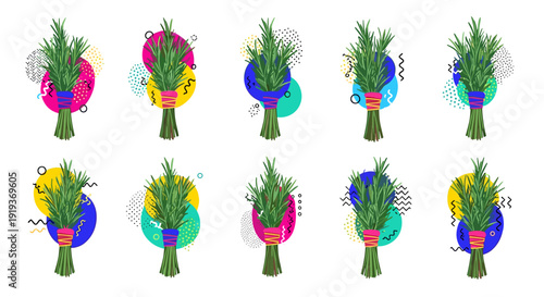 Collection of colorful tulips with vibrant green leaves