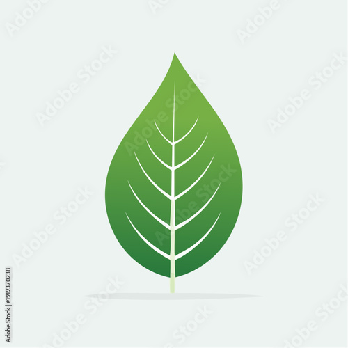 Green leaf symbol of nature, growth, and eco-friendly environment with detailed veins and shadow