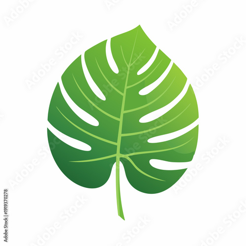 Vibrant green tropical monstera leaf illustration with gradient effect
