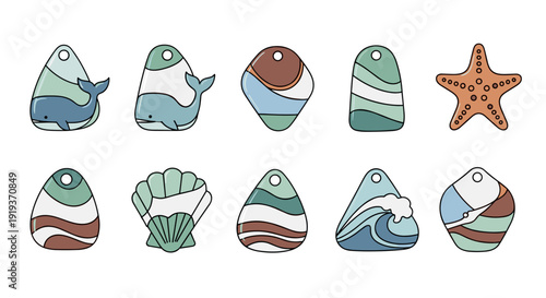 Collection of colorful seashells starfish and marine stones