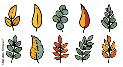 Collection of colorful autumn leaves in various shapes and colors
