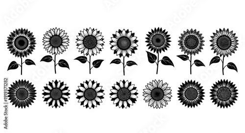Collection of black sunflower illustrations with different designs