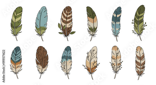 Collection of colorful feathers with various patterns and textures