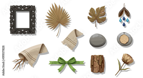 Collection of natural decorative objects and accessories for design