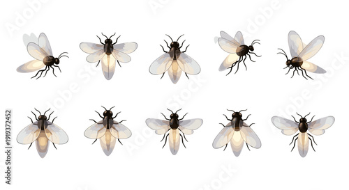 Collection of bees with wings spread on for pollination
