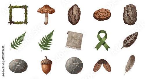 Collection of natural objects including mushrooms stones and leaves