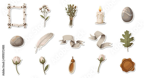 Collection of botanical elements and natural objects