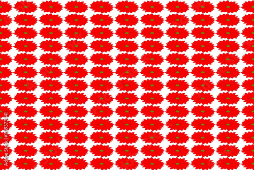 Symmetrical and floral pattern for textile designs.