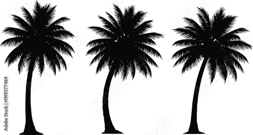 Tropical Palm Tree Silhouette Collection Exotic Coconut Island Beach Summer Nature Botanical Landscape Isolated Coastal Vector Illustration Set For Travel Design