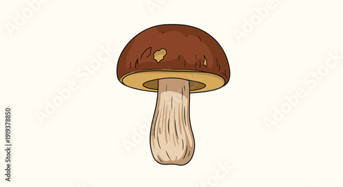 Edible porcini mushroom with a thick stem and dark brown cap shown in a realistic and natural colored illustration.