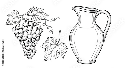 Cluster of grapes on a vine paired with a classic ceramic pitcher illustrates themes of harvest viticulture and traditional dining arrangements.