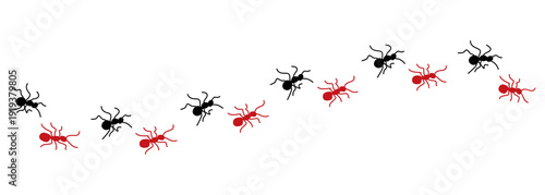 Line of ants alternating black and red marching forward on transparent background