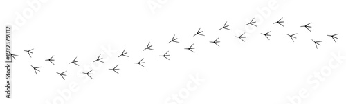 Bird Footprints Trail Isolated on Transparent Background PNG