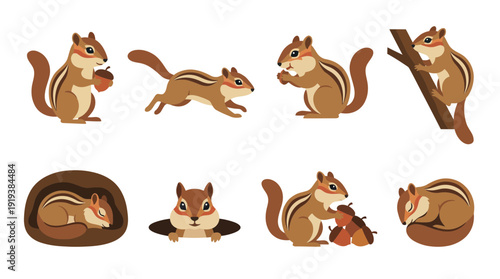 chipmunk , flat color vector set collection , white background , PNG and SVG