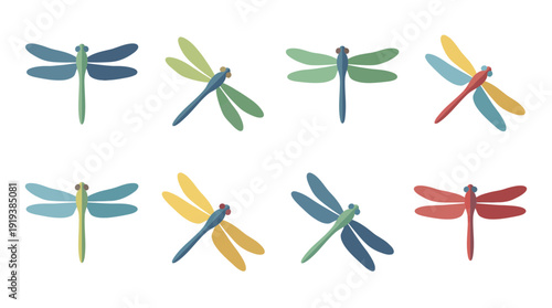 dragonfly , flat color vector set collection , white background , PNG and SVG