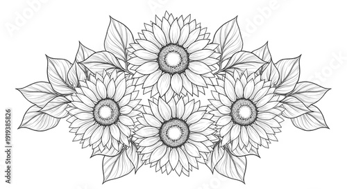 A black and white abstract illustration resembling a floral pattern or explosion.