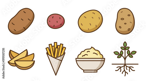 potato , flat color vector set collection , white background , PNG and SVG