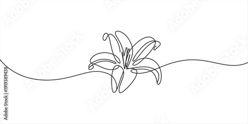 Continuous Line Drawing of a Lily Flower, Elegant Minimalist Botanical Art