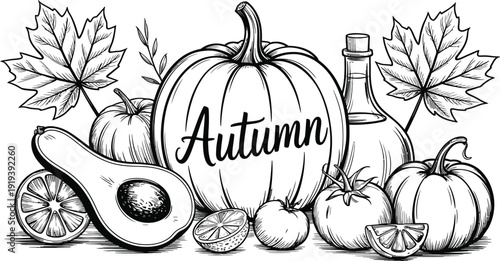 Pumpkin with leaves isolated on white and black background