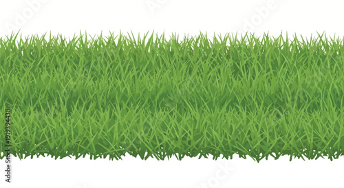 Lush green grass border against a clean white background