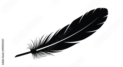 A single black feather illustration against a white background