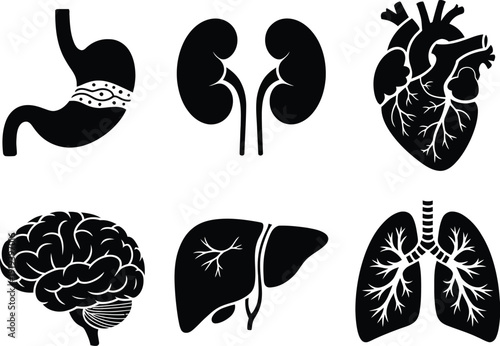Black and white medical icon set showing various human organs arranged in two rows for anatomy and healthcare illustrations