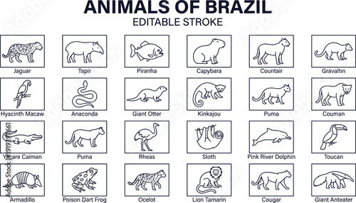 Brazilian wildlife animals icons set with jaguar capybara toucan sloth vector illustration collection for nature and biodiversity design