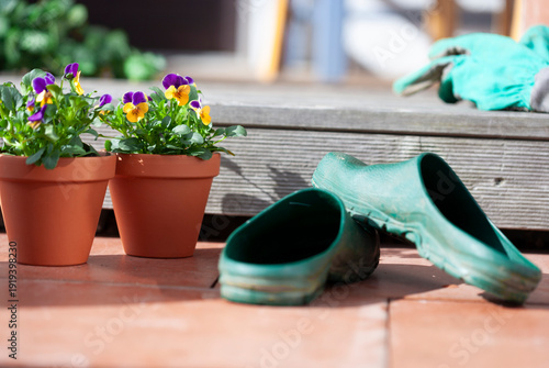 Frühlingsblumen in Terracotta Blumentöpfen im Garten
