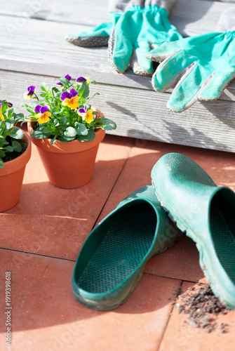 Frühlingsblumen in Terracotta Blumentöpfen im Garten