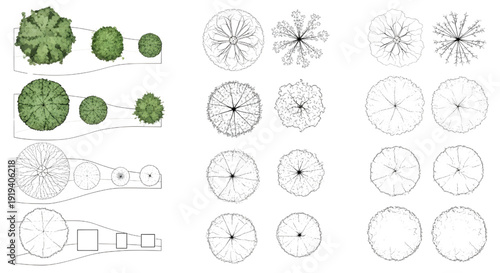 CAD Trees Top View Set for Landscape Design and Architectural Plans Vector