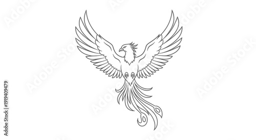 Majestic phoenix line art illustration with outstretched wings and ornate tail. Mythical bird symbolizing rebirth, strength, and eternity.