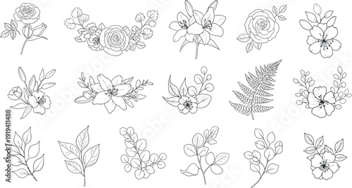 Beautiful collection of delicate hand drawn black and white floral elements including roses lilies ferns and various botanical sprigs perfect for wedding design.