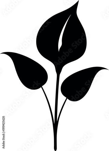 Stylized wallisii peace lily black silhouette illustration