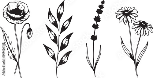Elegant line drawing collection of four distinct floral designs and foliage. Vector