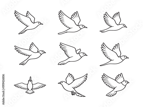 Elegant flying birds outline illustration with peaceful sky concept