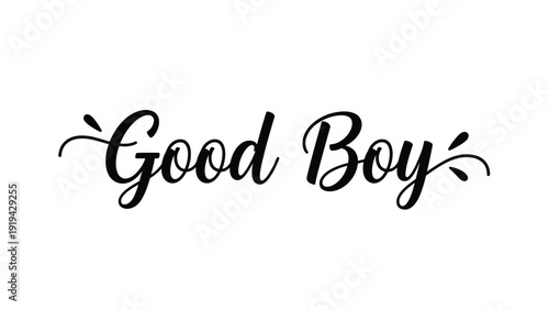 Elegant black calligraphy text good boy with decorative splashes for pet related branding and animal lover gifts design projects.