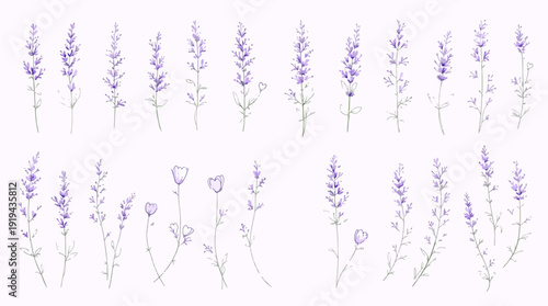 abstract purple background