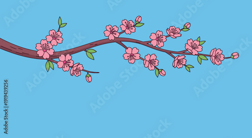 Cherry Blossom Branch with Pink Flowers.