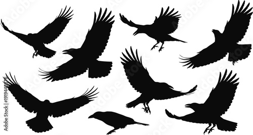 Black bird silhouette set featuring nine flying and landing positions with wings spread, perfect for nature, wildlife, sky, freedom, and decorative design projects
