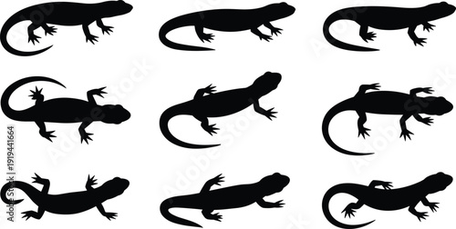 Silhouette illustration of lizards in varied poses, showcasing naturalistic body orientations, limb positions, and tail movements for animal design, biology, and creative projects