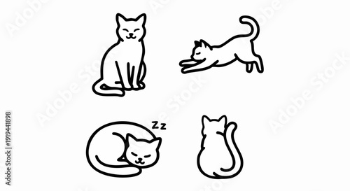 vector illustration of a cat