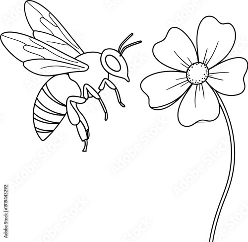 Simple black and white line art illustration depicts a honeybee flying towards a single blossoming flower suitable for coloring pages or educational materials.