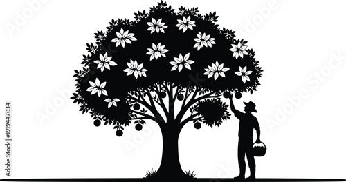 Black vector silhouette of a farmer picking ripe fruit from a large leafy tree into a basket for agriculture gardening and harvesting