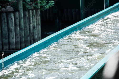 Rapid bubbly water moves through a turquoise-edged concrete channel of water slide. Tall dark green poles rise alongside, with dense green bushes and trees visible in the bright outdoor setting