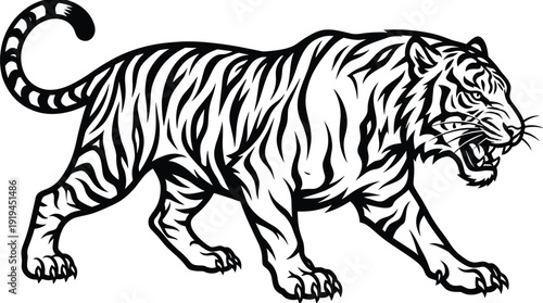 Black and white tiger illustration in walking stance with open mouth, detailed striped vector artwork showing powerful animal design for stock content and creative use