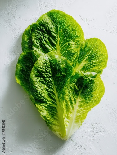Fresh Romaine Lettuce Leaves on White Background – Crisp Green Salad Ingredient in Minimal Style