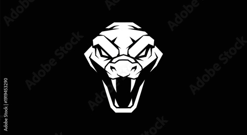 Snake head vector illustration
